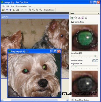 Pet Eye Pilot 3.5 Portable Rus